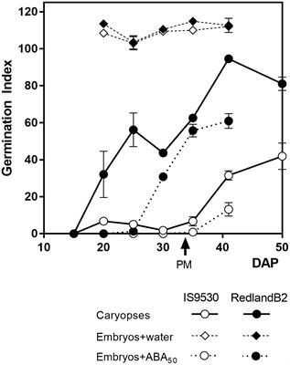 Pre-harvest Sprouting and Grain Dormancy in Sorghum bicolor: What Have We Learned?